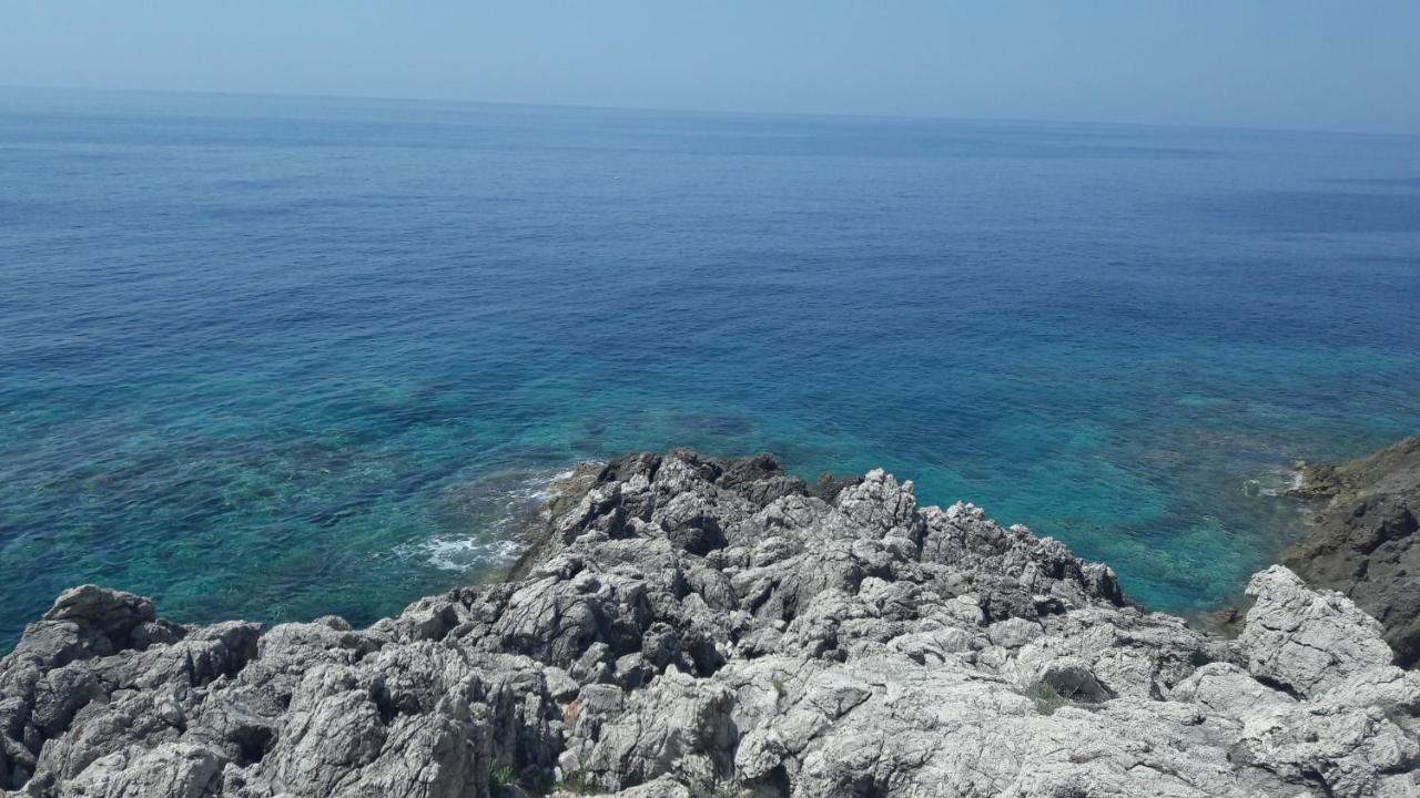Apartments Rotim, Mljet, Sutmiholjska Babino Polje ภายนอก รูปภาพ