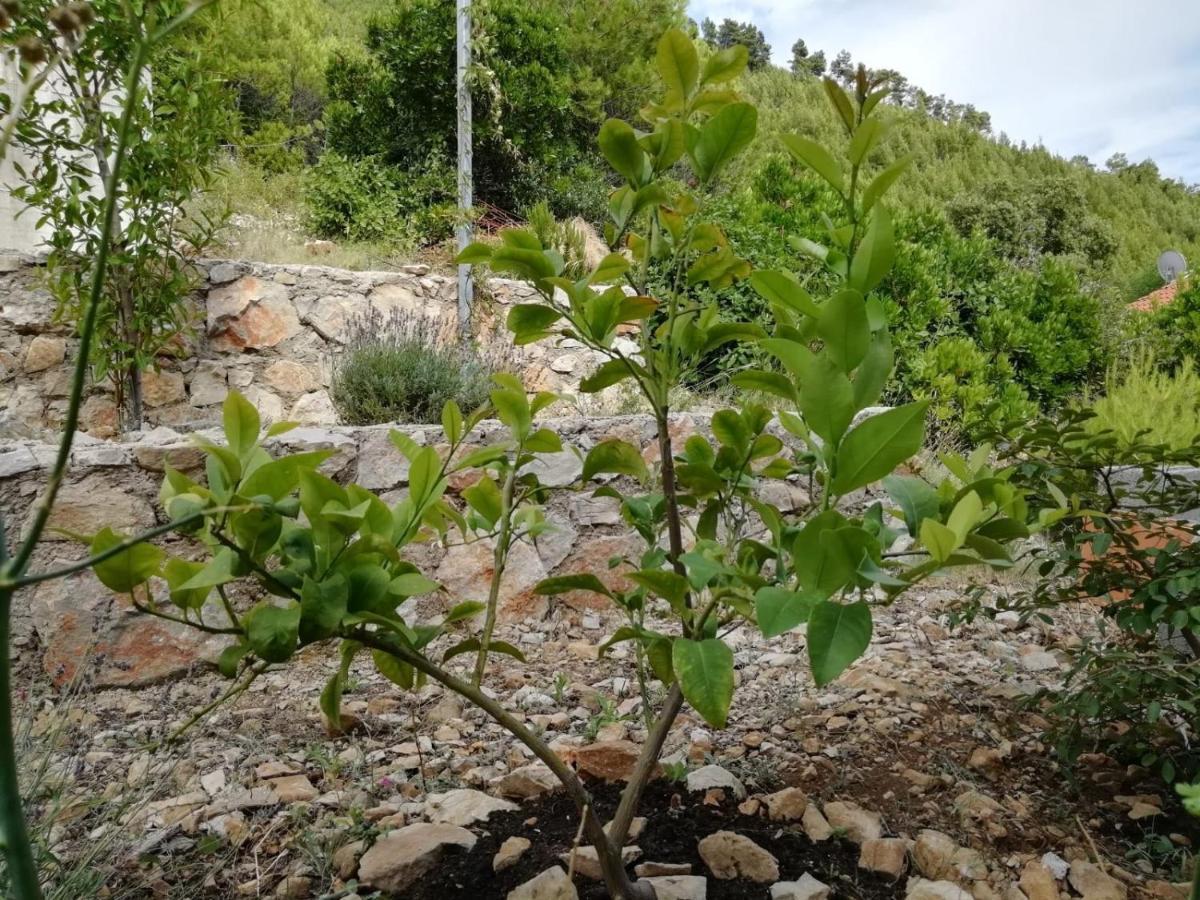 Apartments Rotim, Mljet, Sutmiholjska Babino Polje ภายนอก รูปภาพ